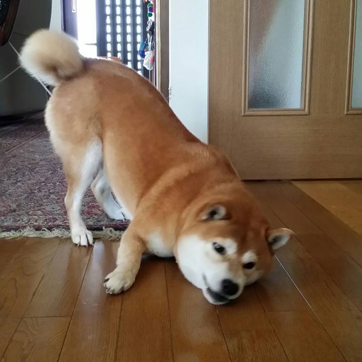 Af20853a 4b71 4b5d 9519 753e9d219b77