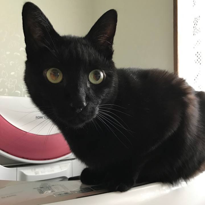 Af208975 85a2 4527 8417 734c3fdc133a