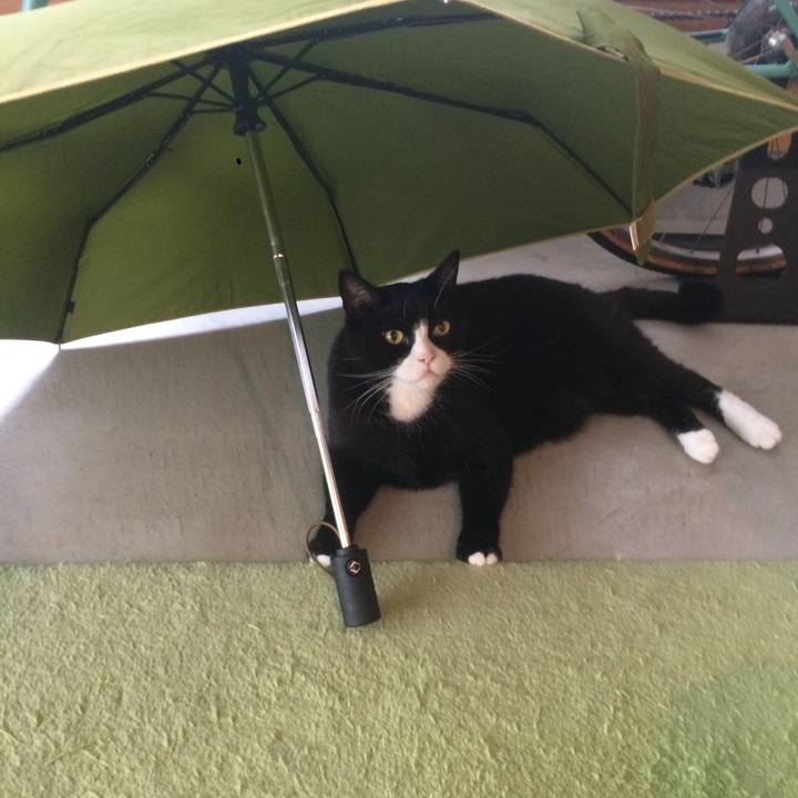 Af20c505 9c74 4274 ae44 32c577a38da0