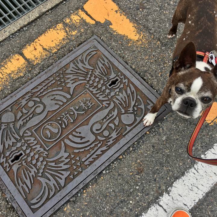 Af211ffa 2855 46ae 8198 6b938fe80327