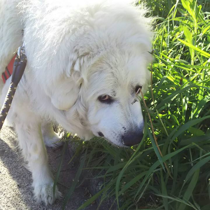 Af21395c 2a6f 4c81 bdf5 2ea54d371292