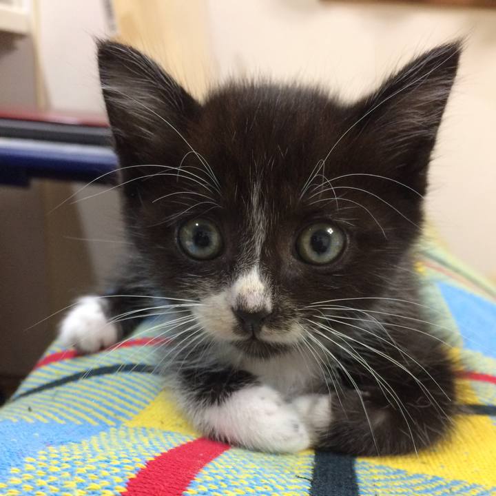 Af214b21 8804 4930 94bb 5ced77008649