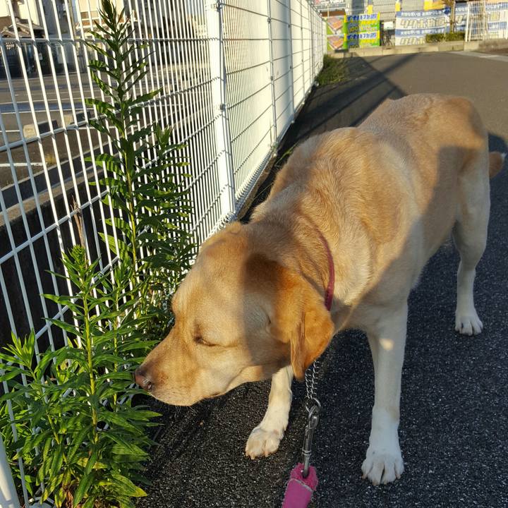 Af21aa8b 2719 4b94 b5e2 e520e633393e