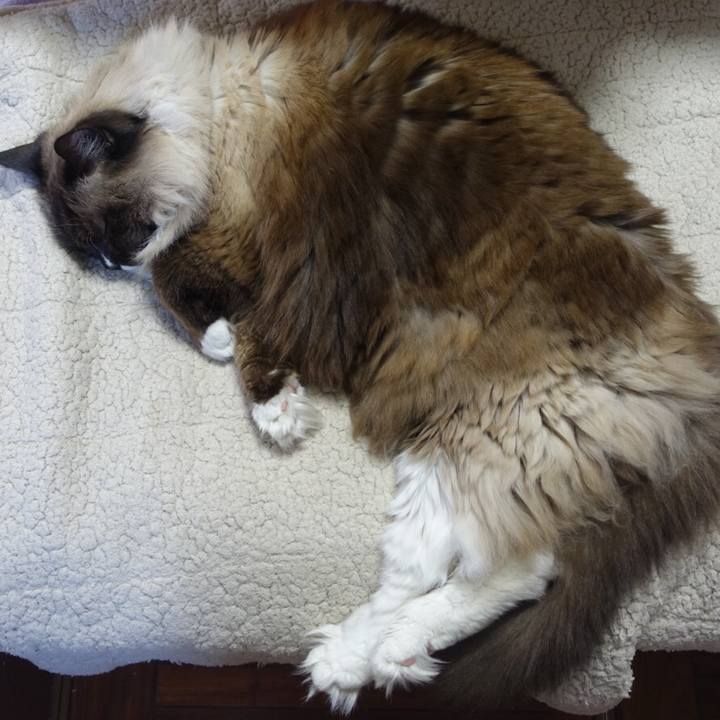 Af21caae 8386 4817 8cfb a7af9b75f454