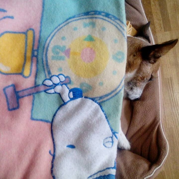 Af2212f4 271d 4951 a250 3d7b64a9781a