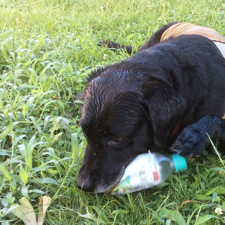 Af22403b c926 4d08 9e55 7defa01a8435