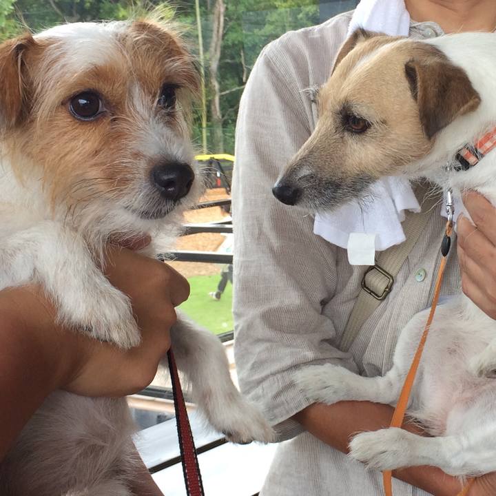 Af225a32 3d61 4bd5 a80f 4cd9f81a03e4