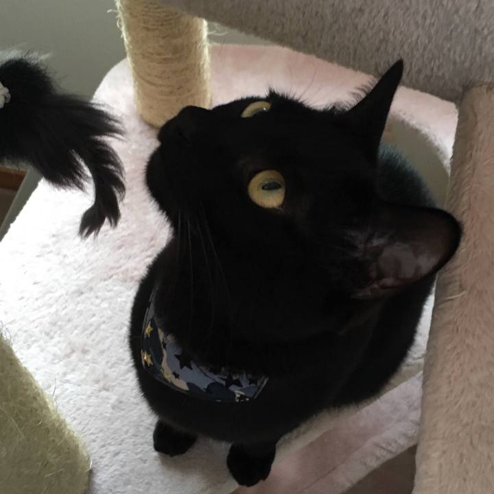 Af226f3d 4cf7 42a6 b2f0 bb1be150c8bf