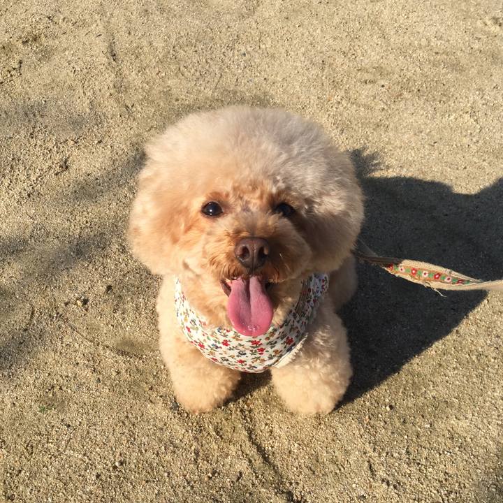 Af227a7d 7772 4b13 9459 87880898225f