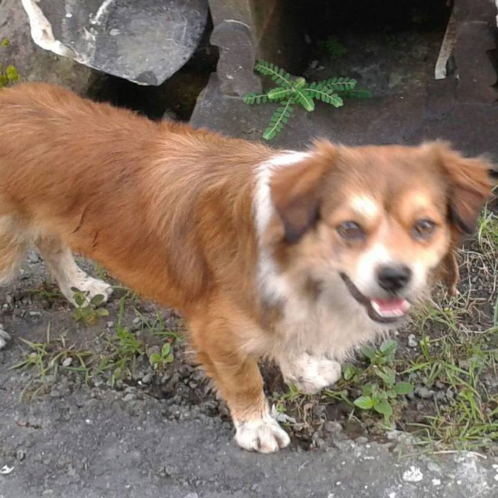 Af22c5e9 adab 4c20 9cee 01f66c9ff78f