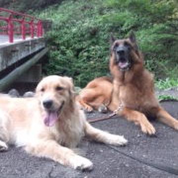 Af22f254 1737 4b32 b419 99363052eab1