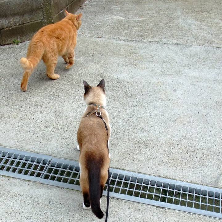 Af233620 e7c5 40c8 99b7 a3a6d3bf5e93