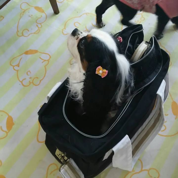 Af233a84 17ab 4100 874a f40f598c8bab