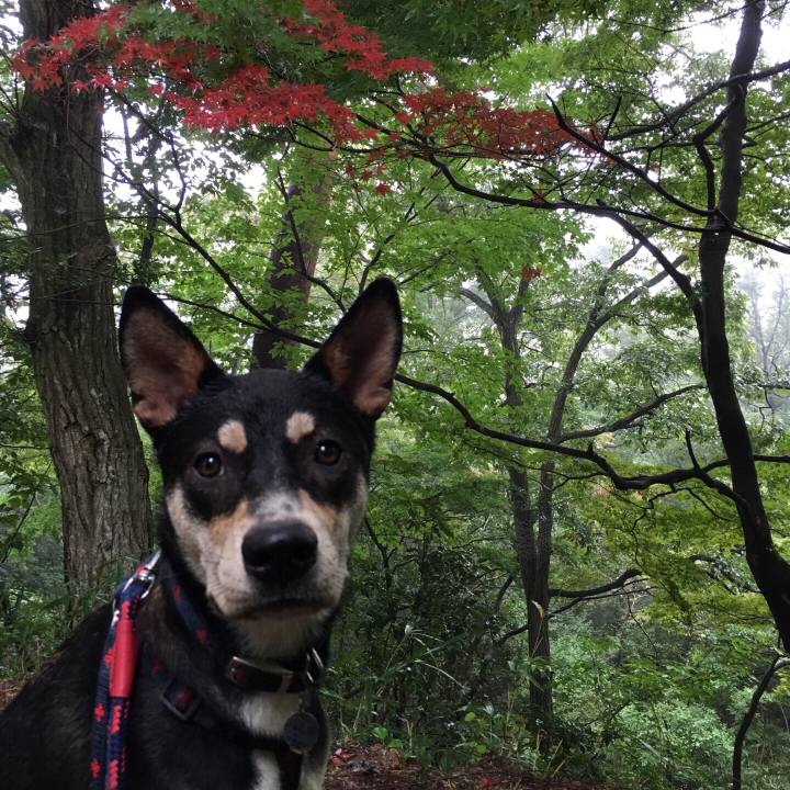 Af23ceb7 8b8d 4a62 a0f8 d8c01bff9f25