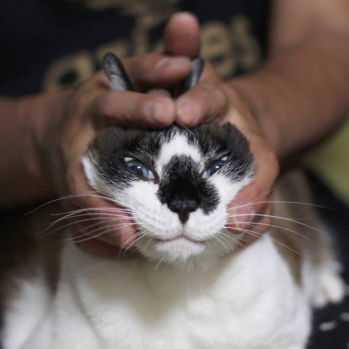 Af254108 498c 4a3b b8f2 15264bb95f6c