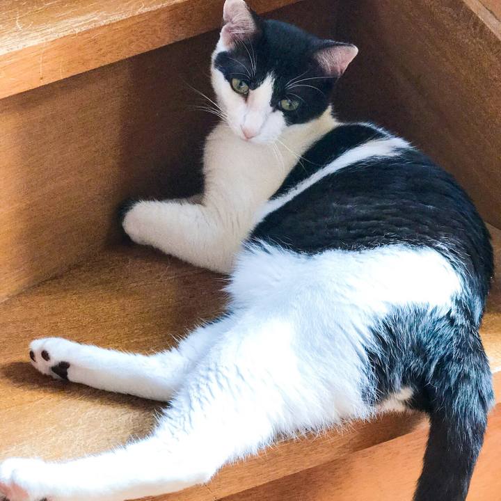 Af25637d 3556 4192 b8f8 0014709ca643