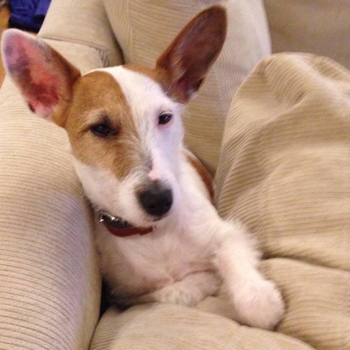 Af258ceb 0636 4b43 bd44 253d55717b63