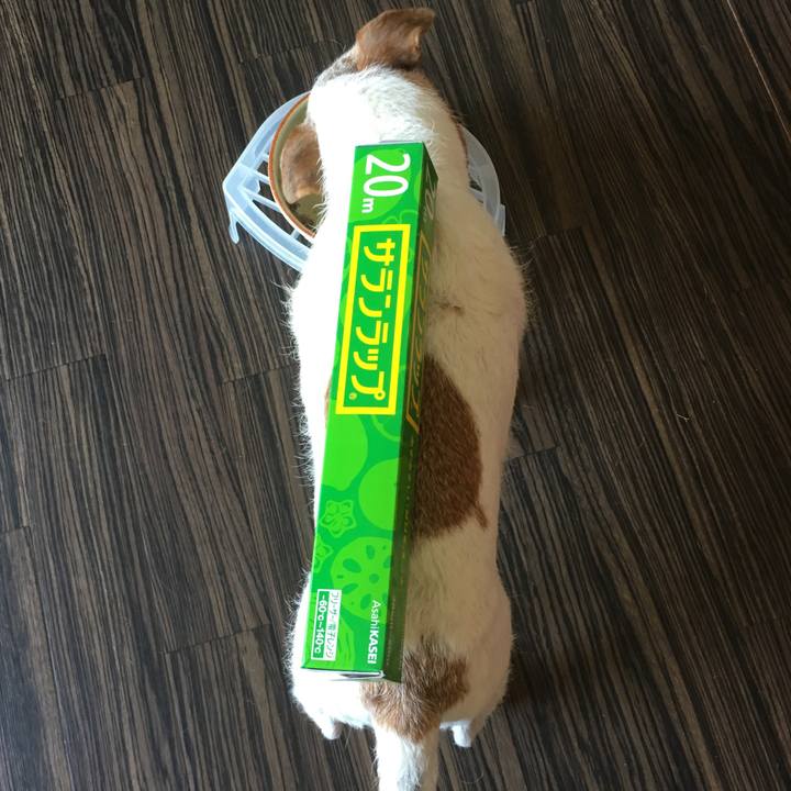 Af25b187 80bf 46b1 a3bb b834c1ad8416