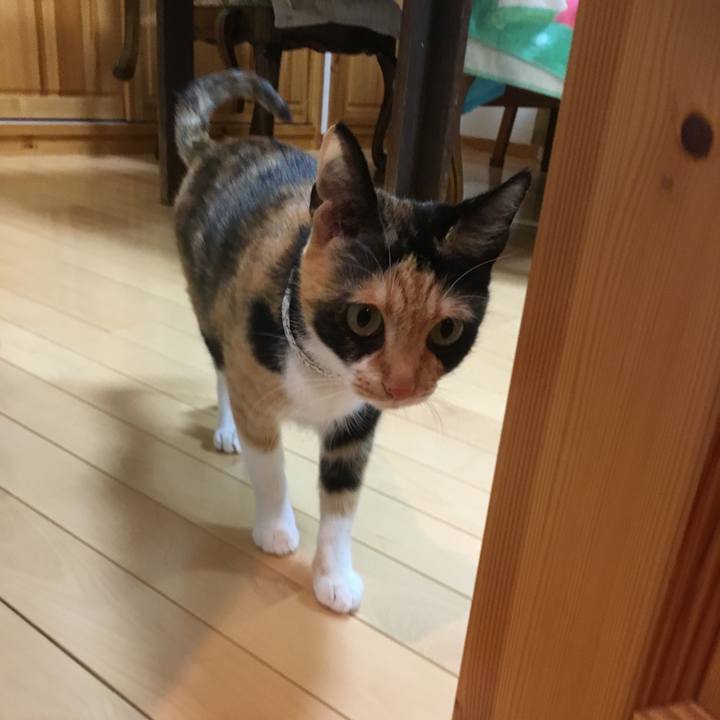 Af25e81a ab72 4a80 8e4e 5ed0e50565ec