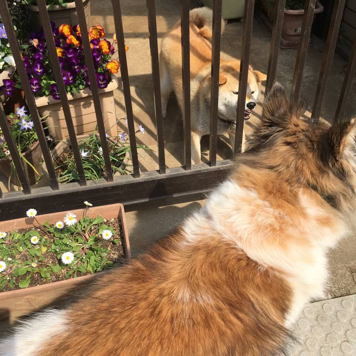 Af26a1ec 43cc 4c5a 9c80 e57cde221688