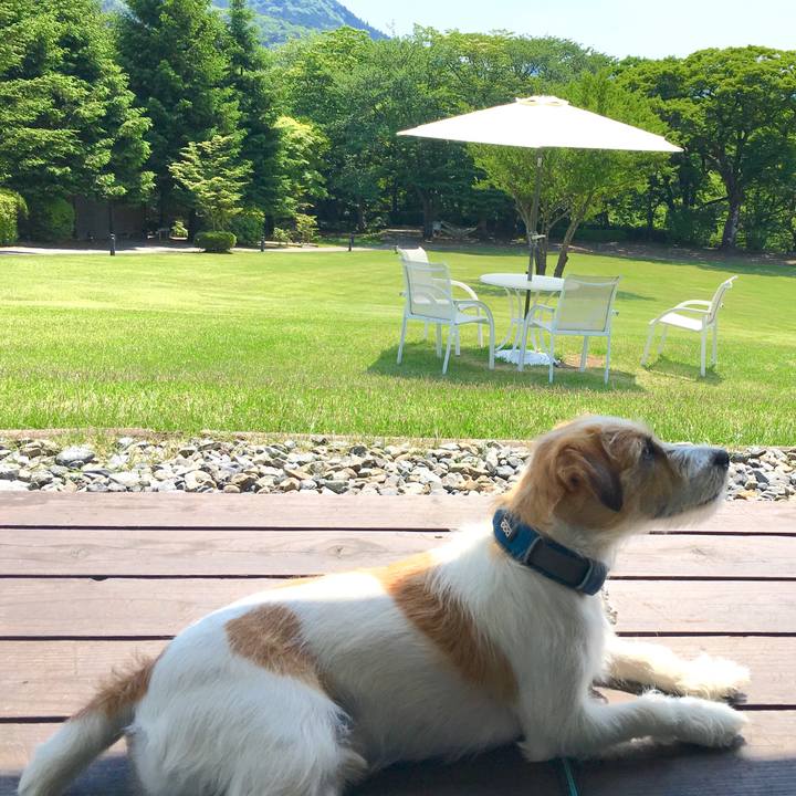 Af26f8c2 5afa 4f9e a0f2 9a4115e027ad