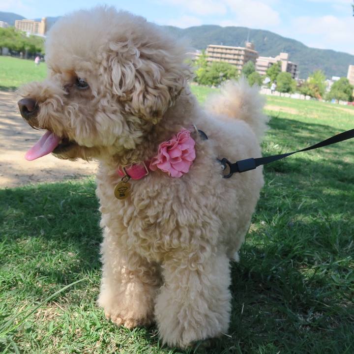 Af27ab9c 81e0 4c60 9562 15562a784b12