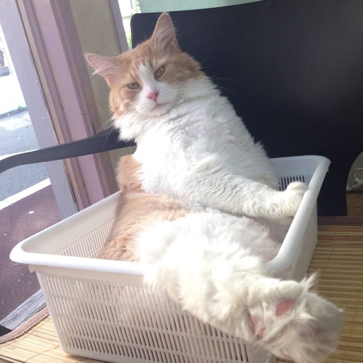 Af282069 0ddb 4aaf b357 d775dd4ba8bf