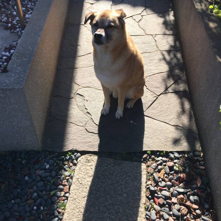 Af288f2d 271c 431d 84ba ccb84b7399fb