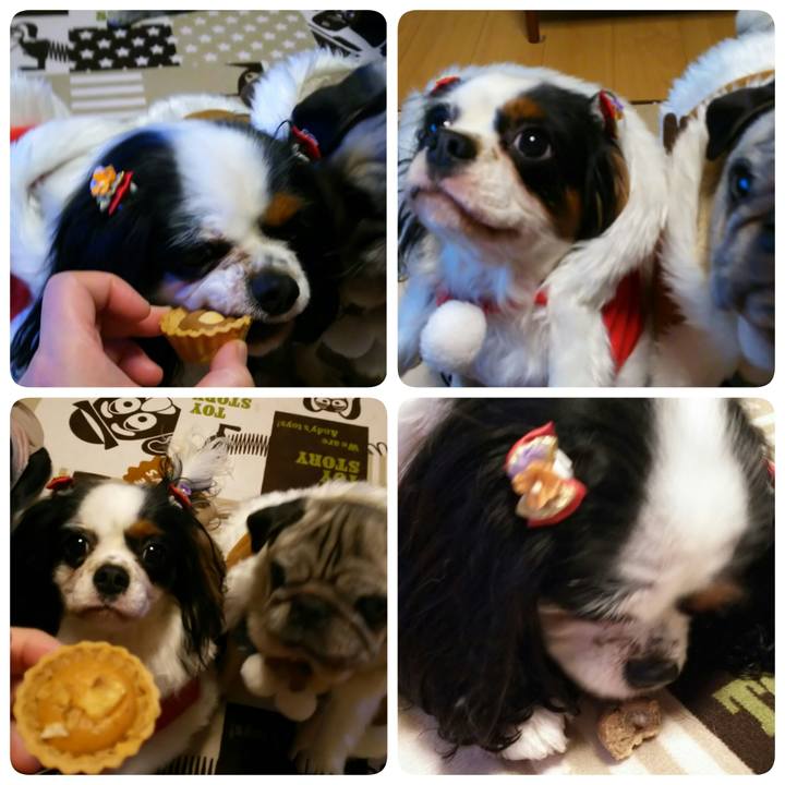 Af294a0f 4158 441a af89 b93611da5f32