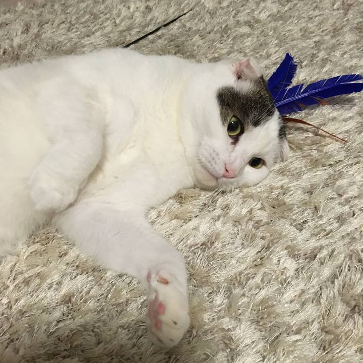 Af298505 d0b4 40d8 a34b 948f5e4f9aa3