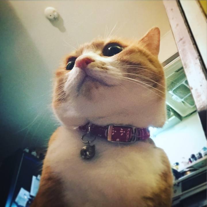 Af2a83b1 17bf 4918 ad6c 70a4e0dda3d4