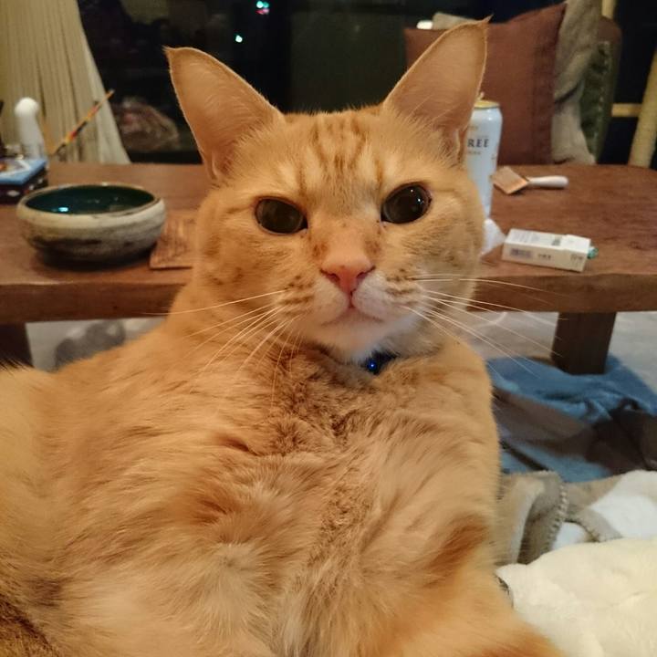 Af2ae29b 9669 45bd 9909 c8a708b08dc7