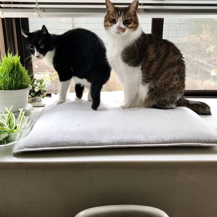 Af2b11c7 4015 43f6 bdc9 20faaeefb28c