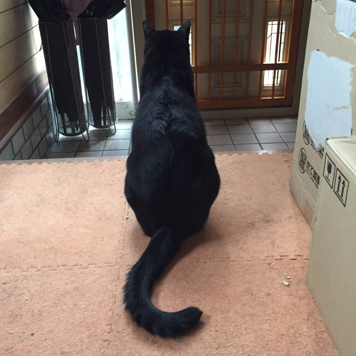 Af2bc7c6 5f0d 4294 968c 4057cf794712