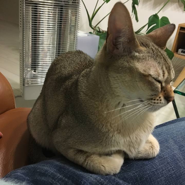 Af2bf264 a154 4ca4 8b4e 6e9d1db31b4c