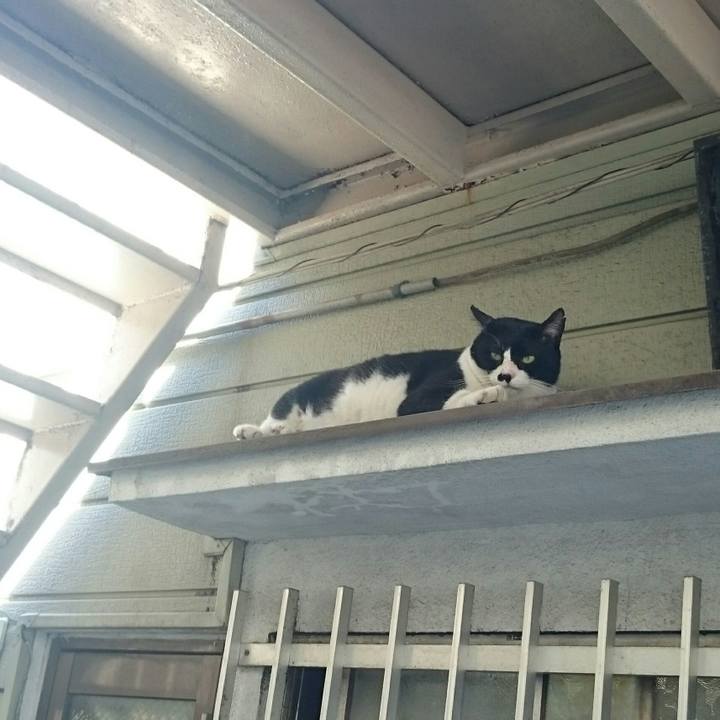 Af2d2398 faad 47b9 a308 bc2dc5edbf87