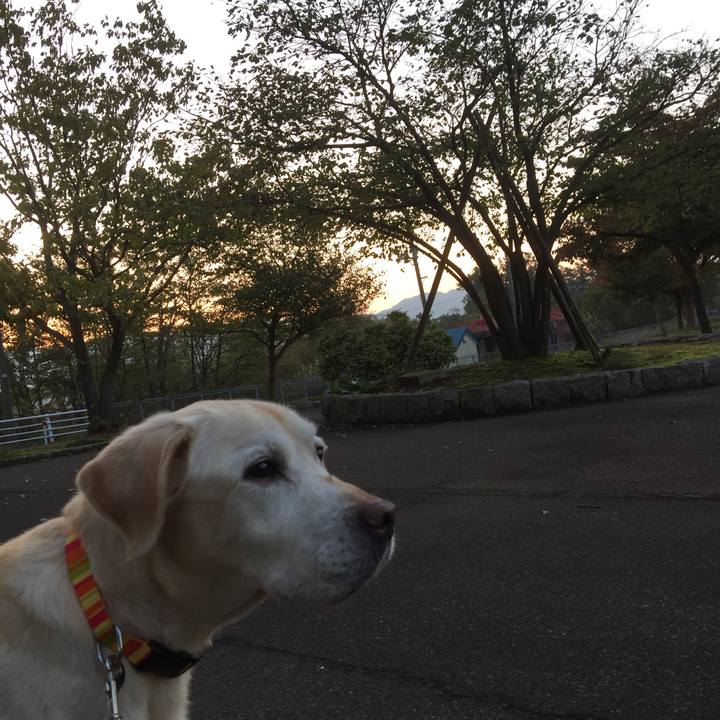 Af2dc4b0 cb97 4dfc 965a 38bc4ab00f2a