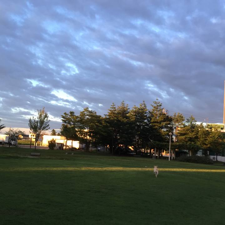 Af2dcf85 289f 4425 b43b 0b2894f79c7e