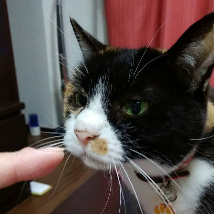 Af2ebaf2 ef78 44ba a058 a0eb34387729