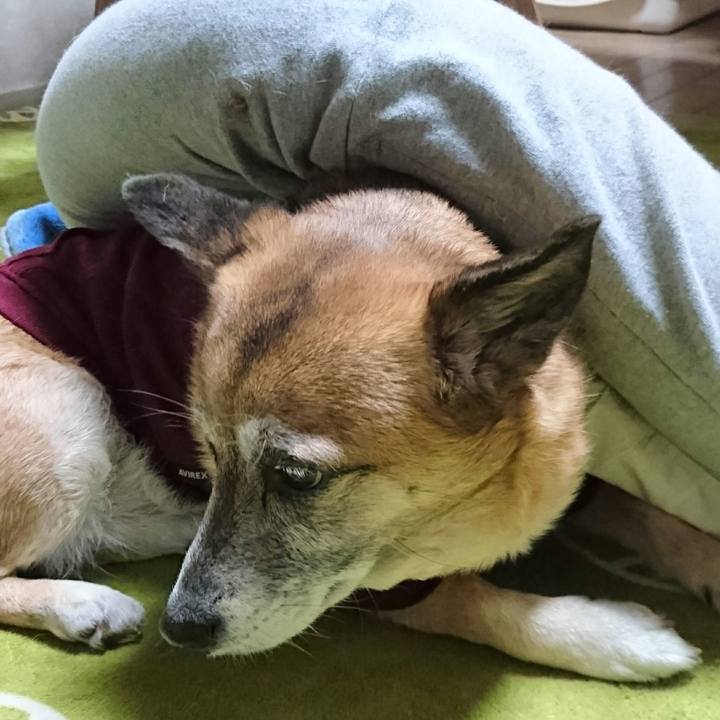 Af2eeca5 5bd5 47d2 86d1 412064a414dc