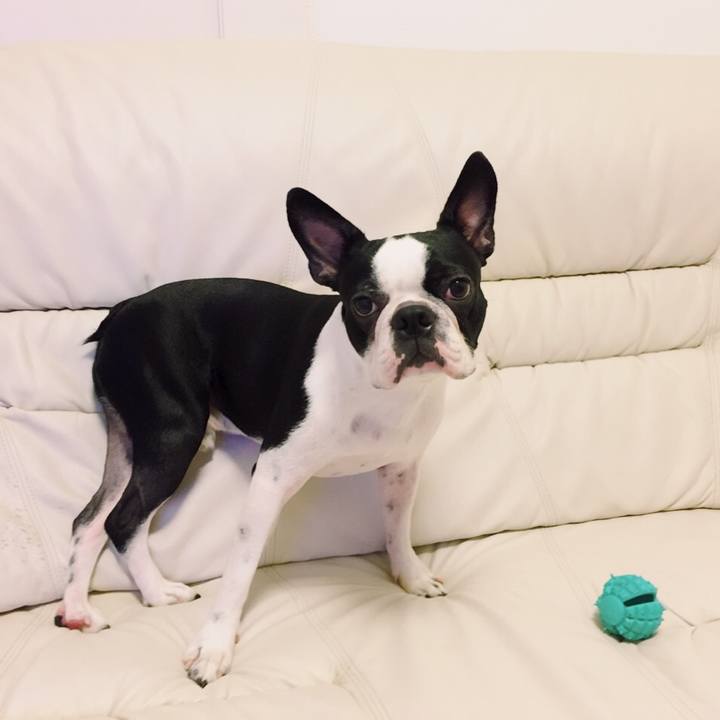 Af2f4e0e 5b91 4066 80dd d6832050cabb