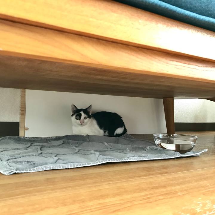 Af2fb448 9e45 494a 804a ec37e99bdf2f