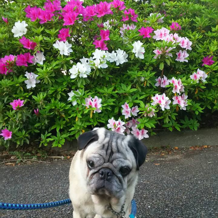 Af2fce08 049a 4b69 bc64 e54e8b8b7efb