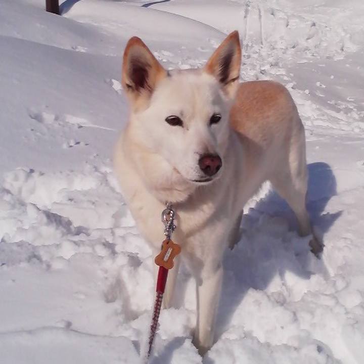 Af30402e 55c8 4a7f a89e fd7cbea9a834