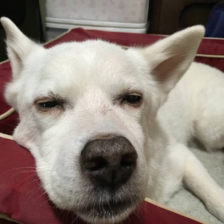 Af30413e 0e4a 4f5e bb3b 10e50efa6abb