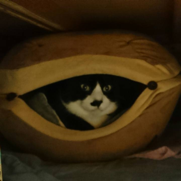 Af312fa8 1486 43a6 9fc1 6faf3a98d5b0