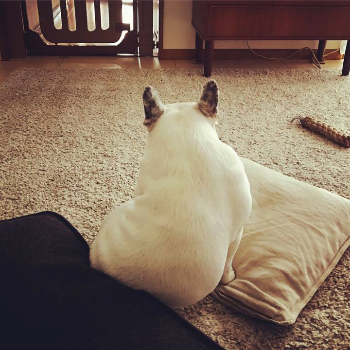 Af318793 61f2 47b5 ada2 4663b96a3979