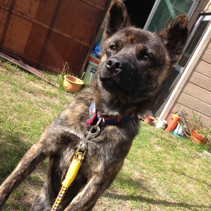 Af31e792 6536 4186 a36f abfaacfbd970