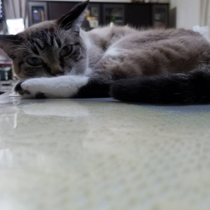 Af3211fd 54a7 431f aa40 6a2f814eb28e