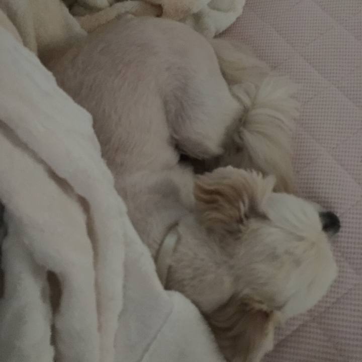 Af32210e 750a 4bd5 9b7e 0a789e9ab049